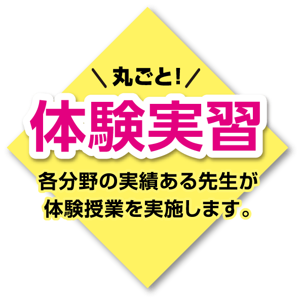 丸ごと体験学習 各分野の実績ある先生が体験授業を実施します。