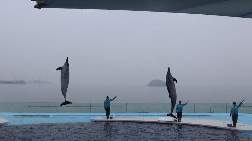 IMG_9720 - コピー