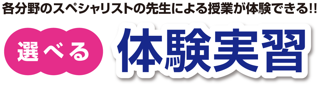 丸ごと体験学習 各分野の実績ある先生が体験授業を実施します。